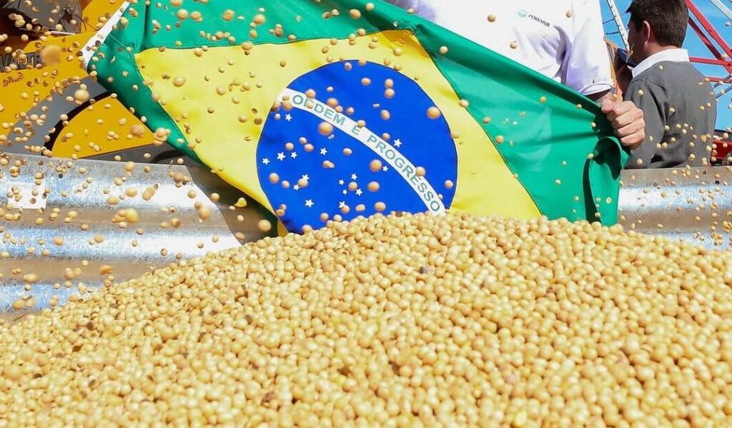 cannabrava-|-supersafra-brasileira:-abundancia-para-quem,-prejuizo-para-quem?