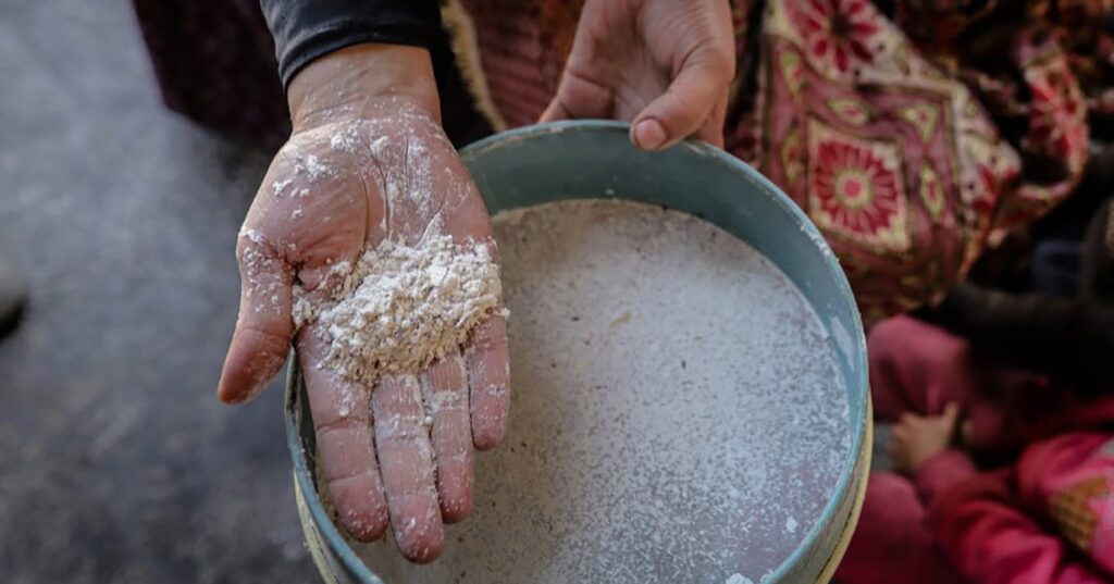 lucro,-desvios-e-corrupcao:-farinha-e-usada-para-extorquir-famintos-em-gaza