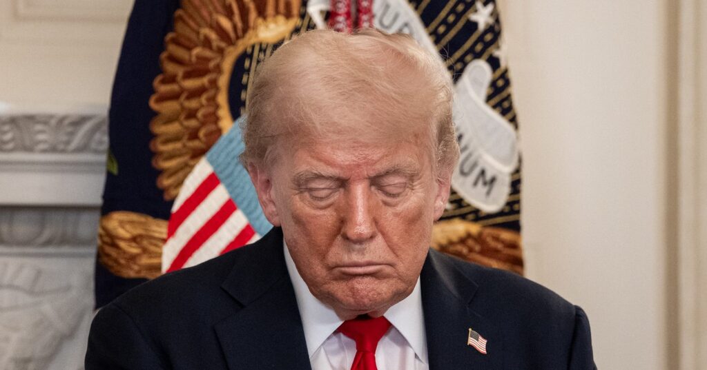 cannabrava-|-a-guerra-economica-de-trump