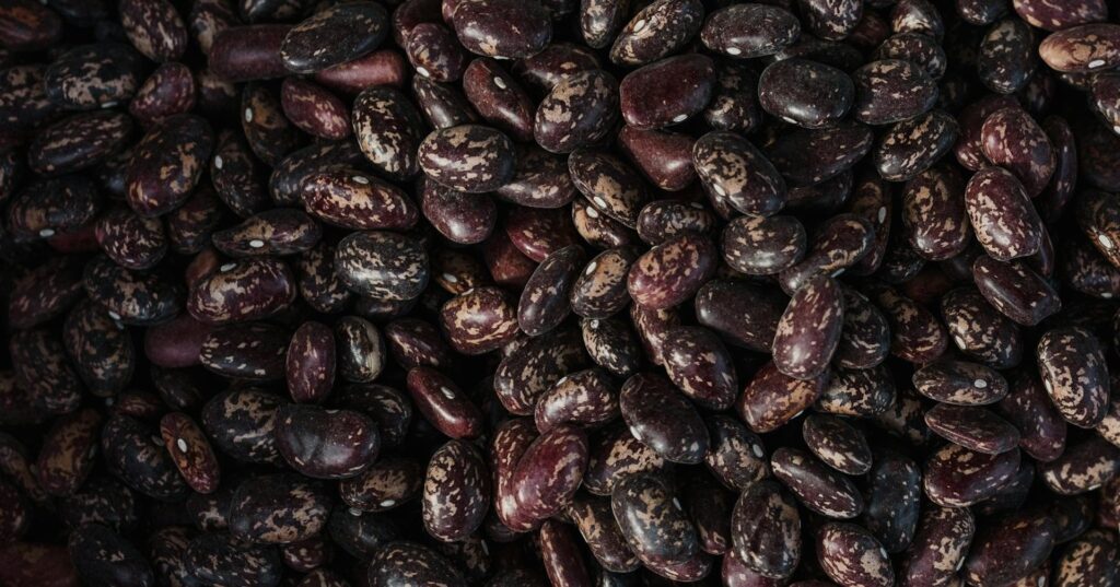 cronica-|-feijao-camagua,-raiz-latino-americana:-pertencimento-ou-afirmacao,-identidade-ou-submissao?