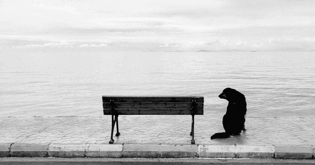 dowbor-|-rentismo-e-solidao:-como-a-concentracao-de-riqueza-corroi-a-sociabilidade