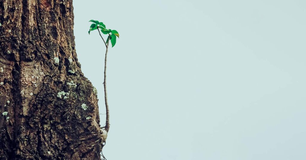 internacionalismo,-utopia-e-solidariedade:-ideais-a-resgatar