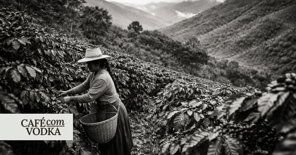 cafe-com-vodka-|-starbucks-pode-estar-tirando-riqueza-da-america-latina-—-e-escondendo-na-suica